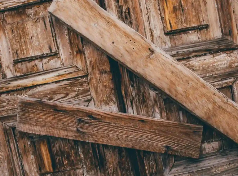 Read more about the article Gdzie wyrzucić drewno i stare deski? Segregacja odpadów w Polsce 2026